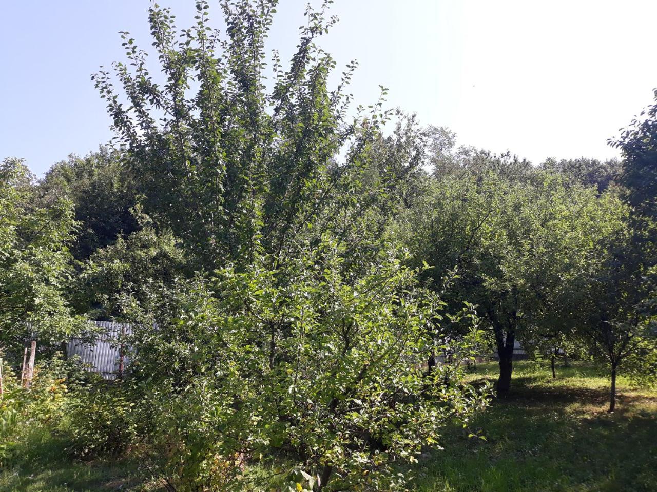 Котедж "Лісовий Затишок" Glubokoye Luaran gambar
